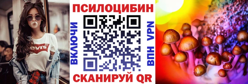 Купить  Скопин  Псилоцибиновые грибы Cubensis 